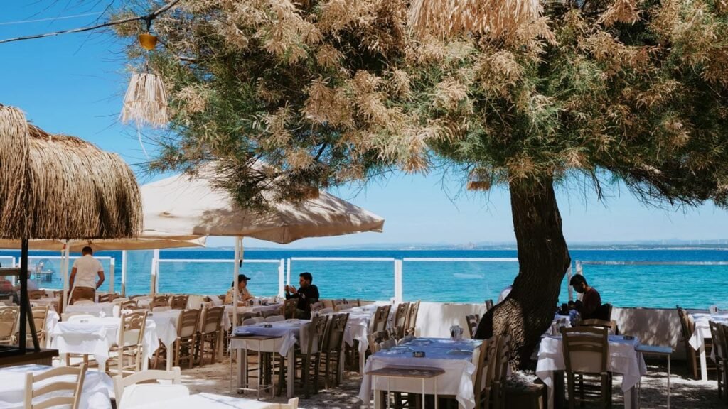 yalova bozcaada rakı balık