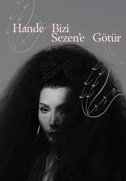 hande-bizi-sezene-gotur-94213
